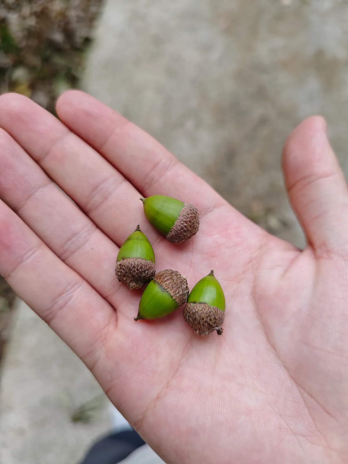 未命名照片