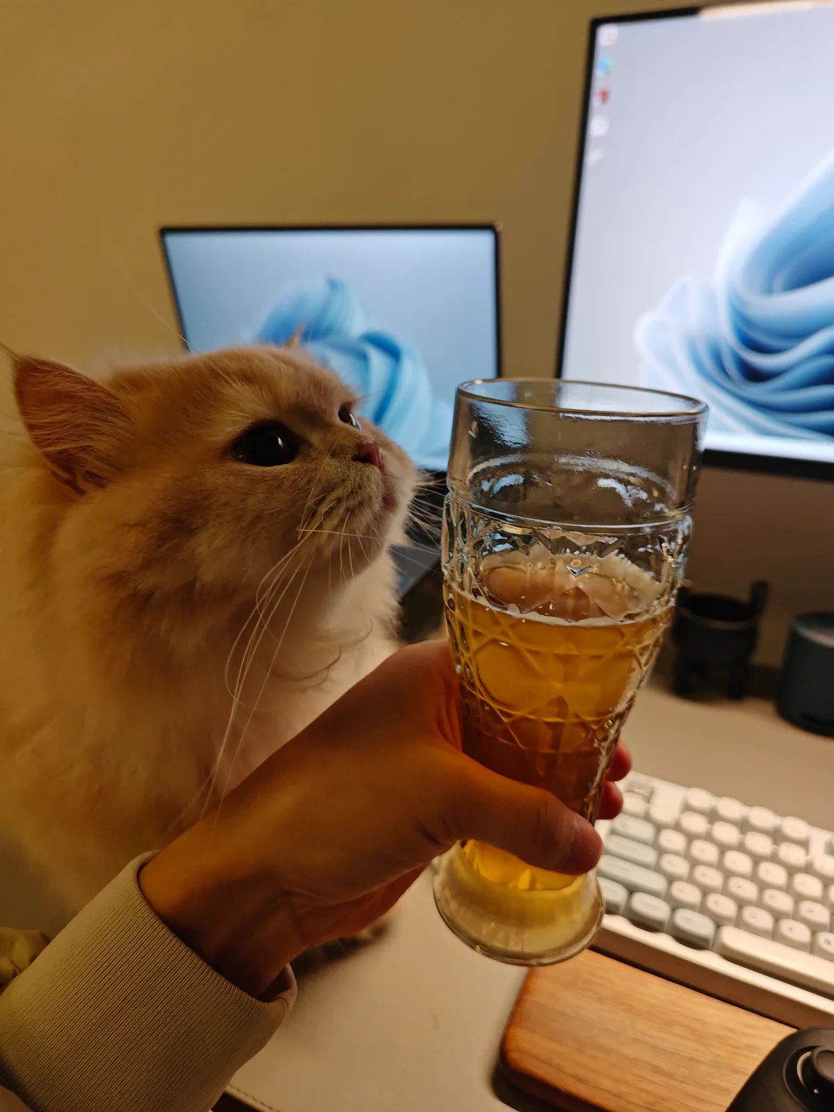 无醇啤酒