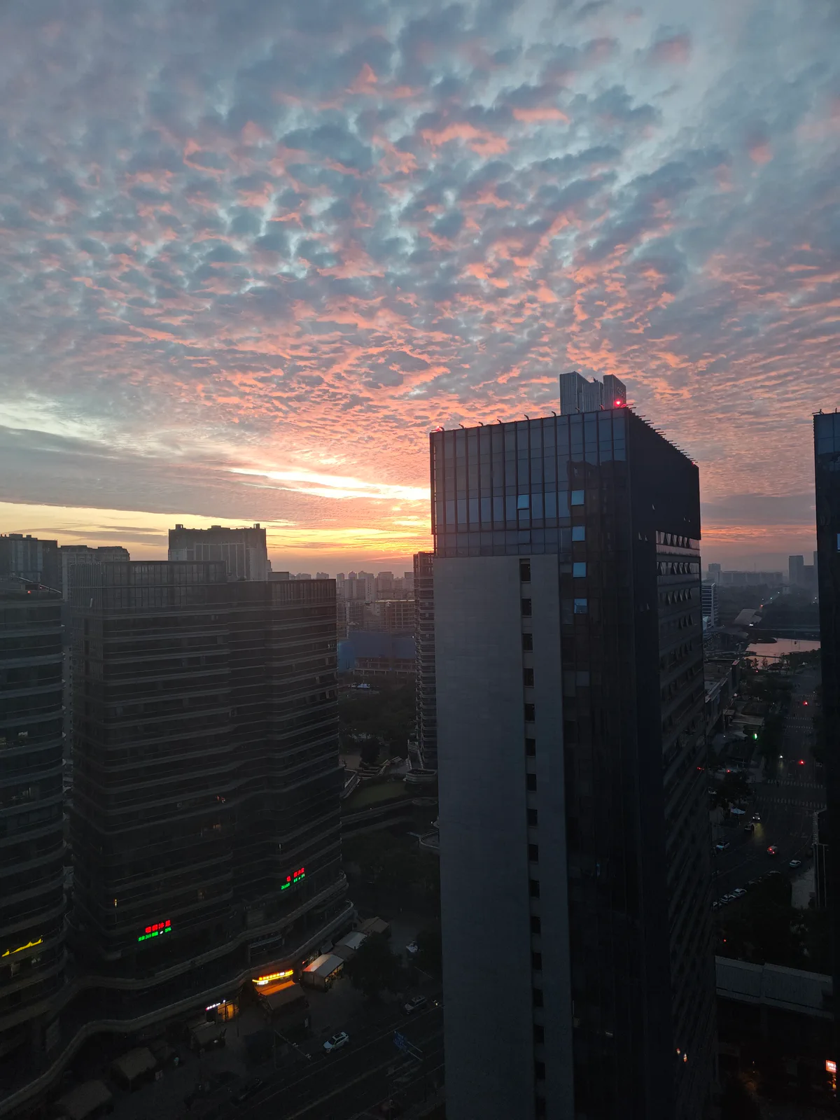 未命名照片